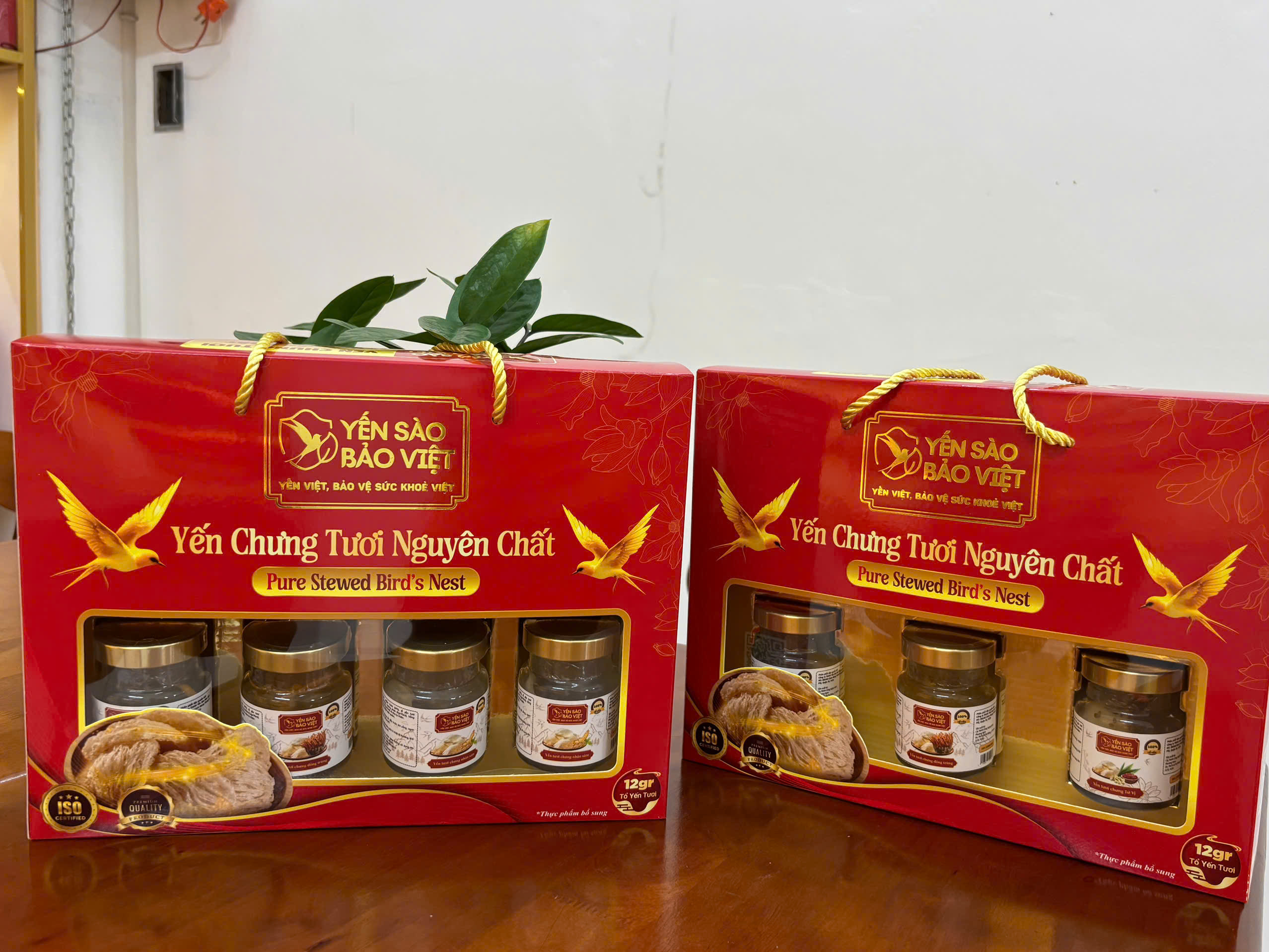 Set 10 Hủ Yến Tươi Chưng Sẵn Mix Vị – 70ml