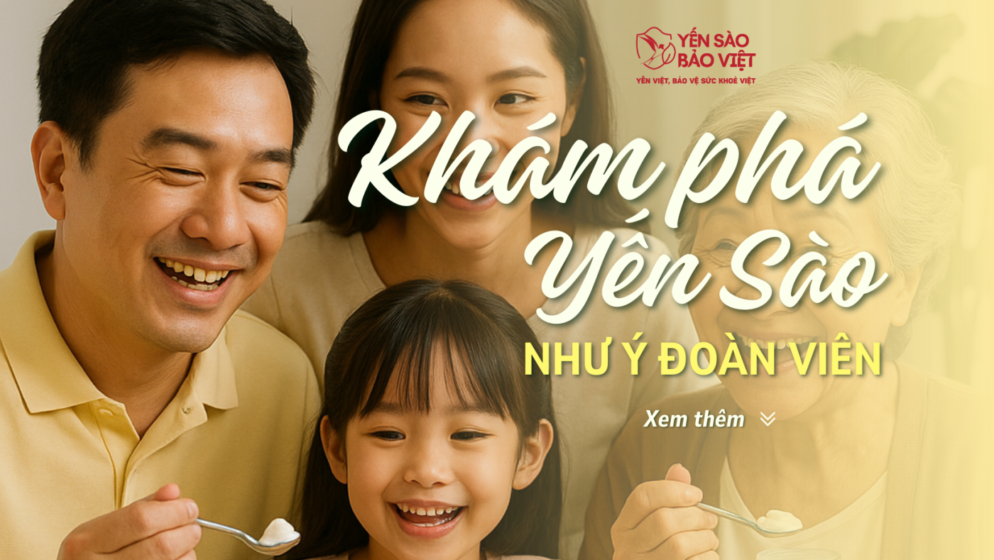 Khám Phá Ẩm Thực Sáng Tạo Với Yến Sào – Từ Món Ngọt Tinh Tế Đến Soup Nóng Hổi