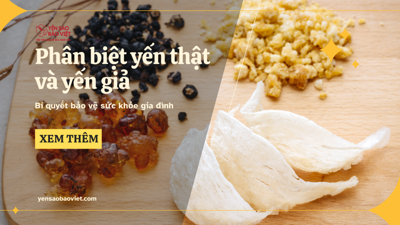 Cách Phân Biệt Yến Thật và Yến Giả – Bí Quyết Bảo Vệ Sức Khỏe Gia Đình