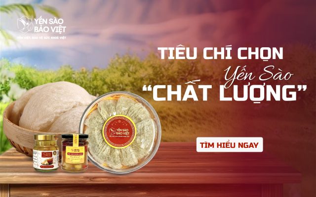 Tiêu Chí Chọn Yến Sào Chất Lượng – Bảo Vệ Sức Khỏe Gia Đình Bạn