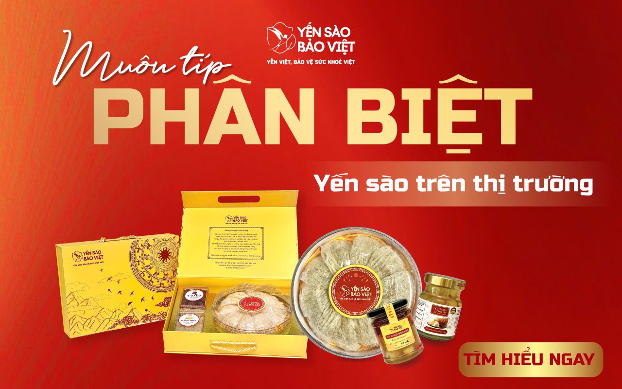 MUÔN TÍP PHÂN BIỆT YẾN SÀO TRÊN THỊ TRƯỜNG