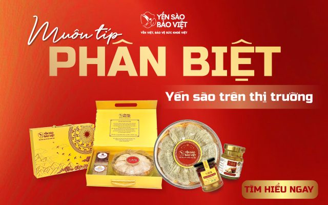MUÔN TÍP PHÂN BIỆT YẾN SÀO TRÊN THỊ TRƯỜNG