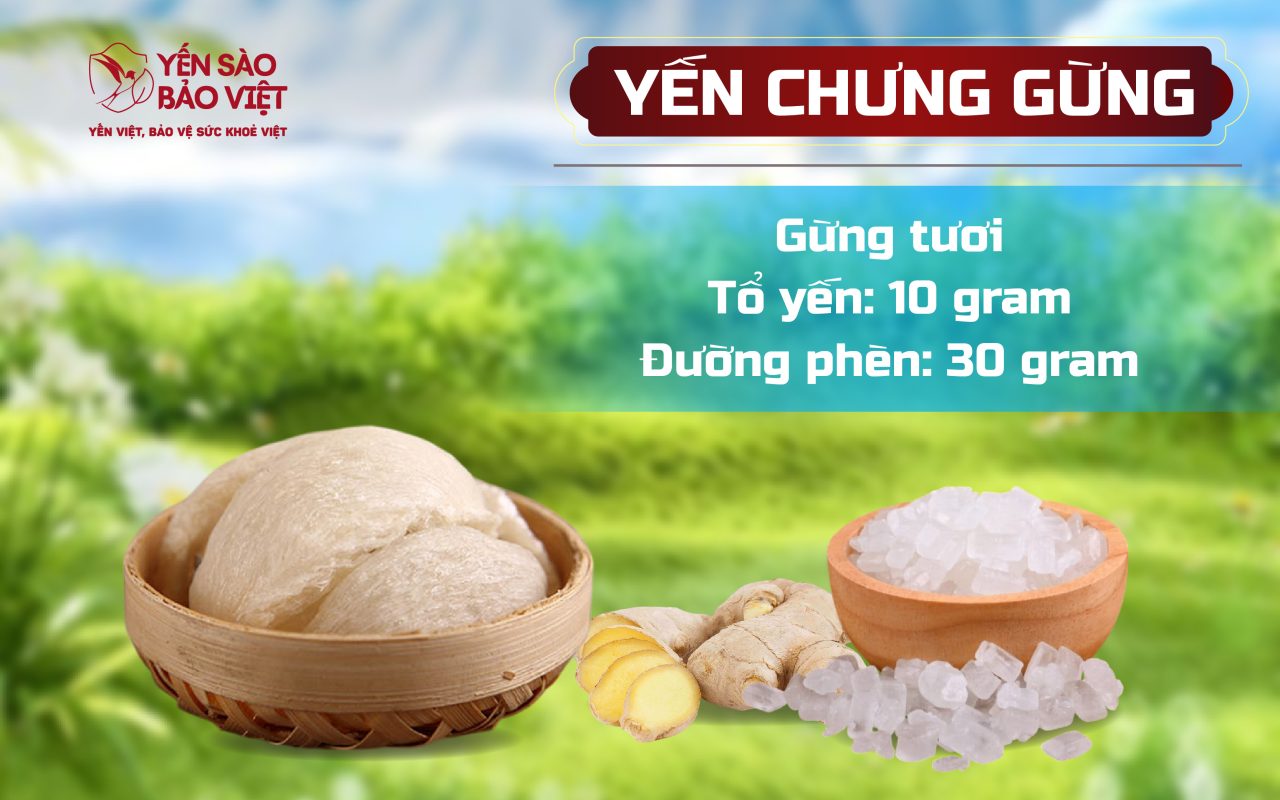 Bí quyết chế biến món yến chưng gừng trị ho, giải cảm