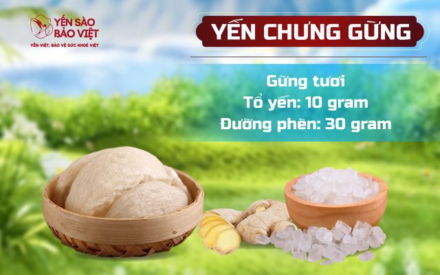Bí quyết chế biến món yến chưng gừng trị ho, giải cảm
