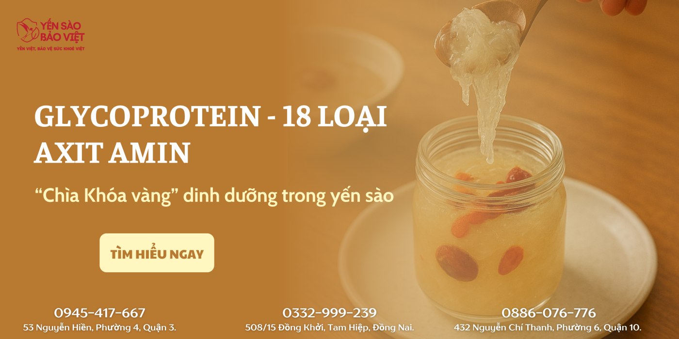 KHÁM PHÁ GLYCOPROTEIN VÀ 18 AXIT AMIN – “Chìa Khóa Vàng” Dinh Dưỡng Trong Yến Sào Bảo Việt
