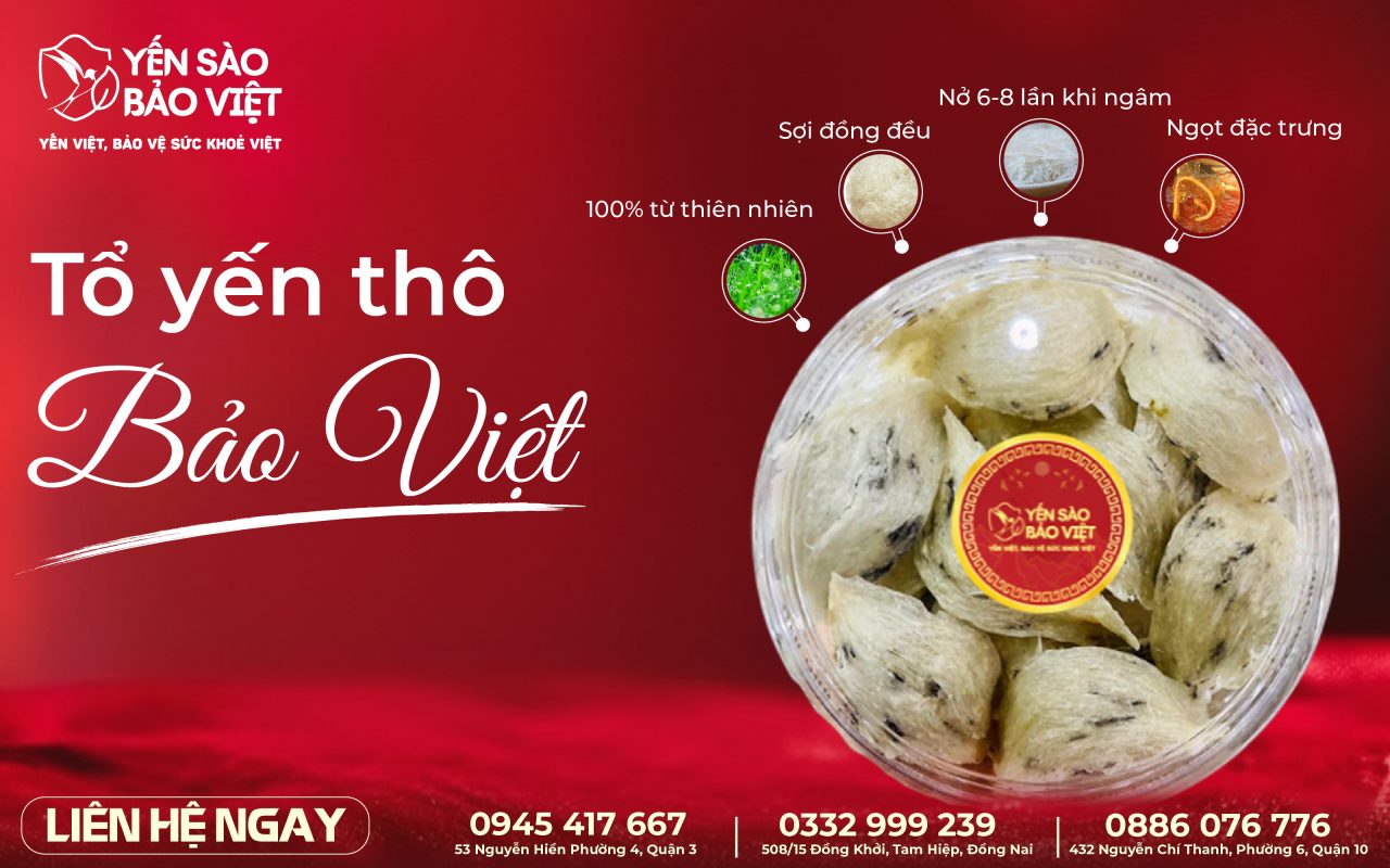 TỔ YẾN THÔ BẢO VIỆT – GIỮ TRỌN TINH HOA TỪ THIÊN NHIÊN