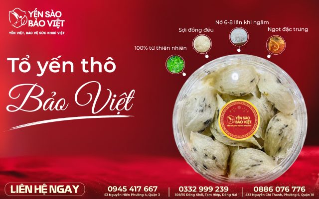 TỔ YẾN THÔ BẢO VIỆT – GIỮ TRỌN TINH HOA TỪ THIÊN NHIÊN