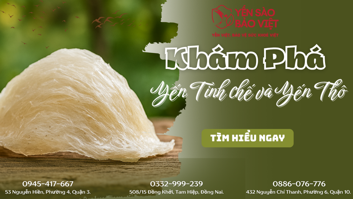 KHÁM PHÁ YẾN TINH CHẾ & YẾN THÔ – Quy Trình Khép Kín Đảm Bảo Chất Lượng Tại Yến Sào Bảo Việt