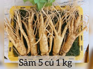 Sâm 5 củ 1kg – Nhân Sâm tươi Hàn Quốc