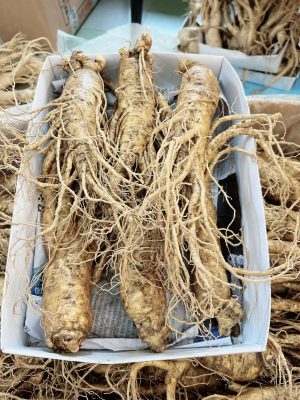 Sâm 6 củ 1kg – Nhân Sâm tươi Hàn Quốc