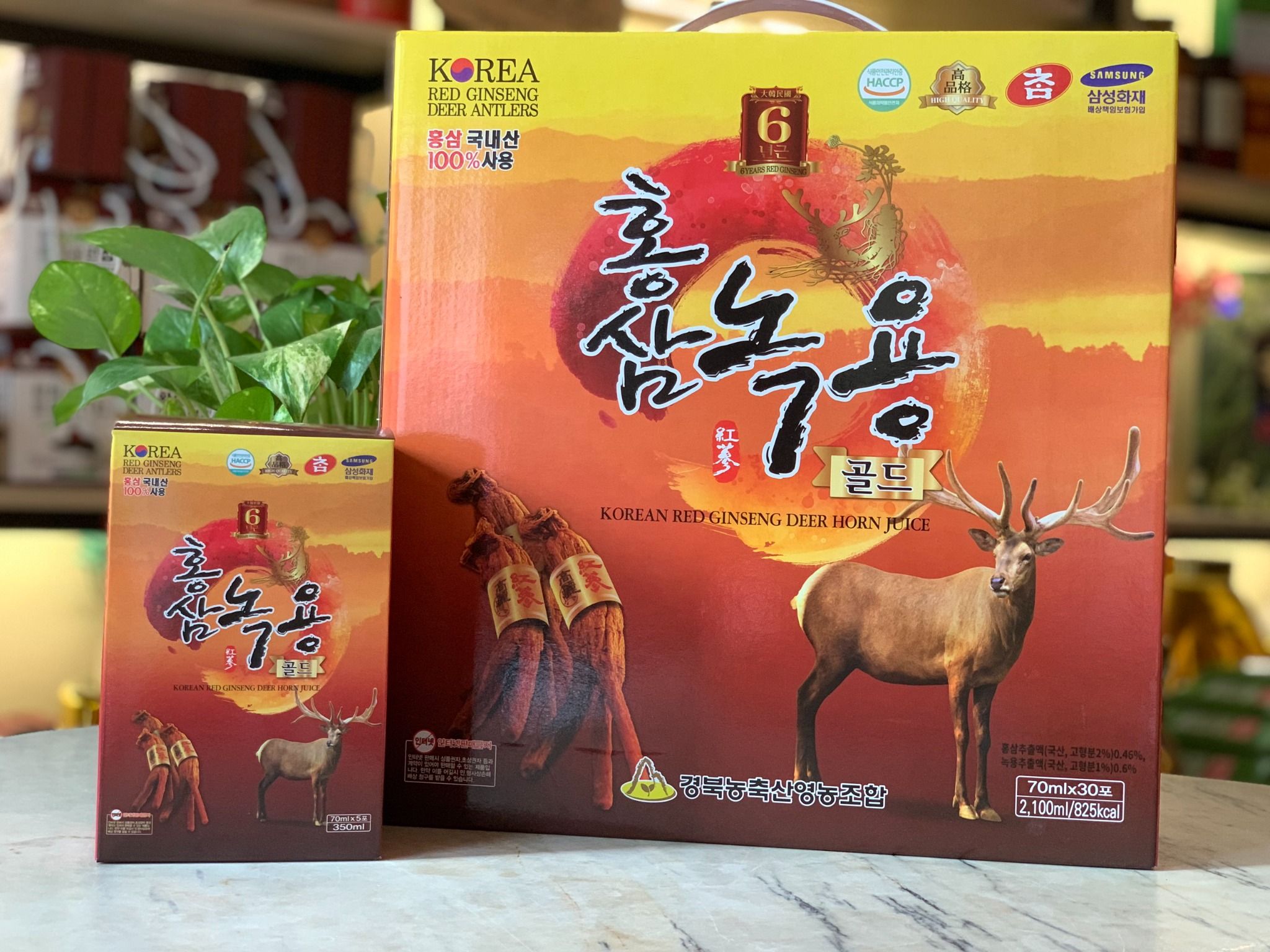 Nước Hồng Sâm Nhung Hươu GYEONGBUK [30 Gói] (Cham Red Ginseng Deer Antlers)