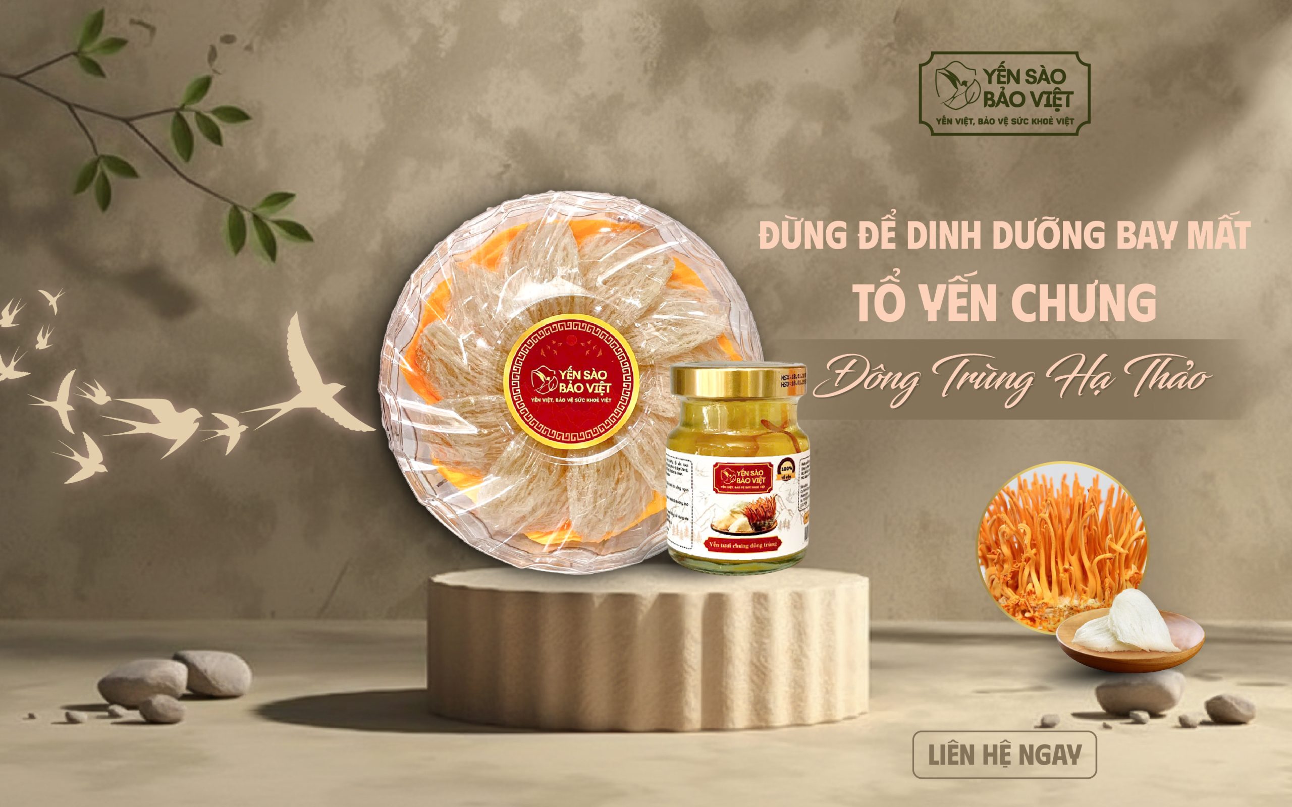 Tổ Yến Chưng Đông Trùng Hạ Thảo, Đừng Để Dinh Dưỡng “Bay Mất” Vì Điều Này!