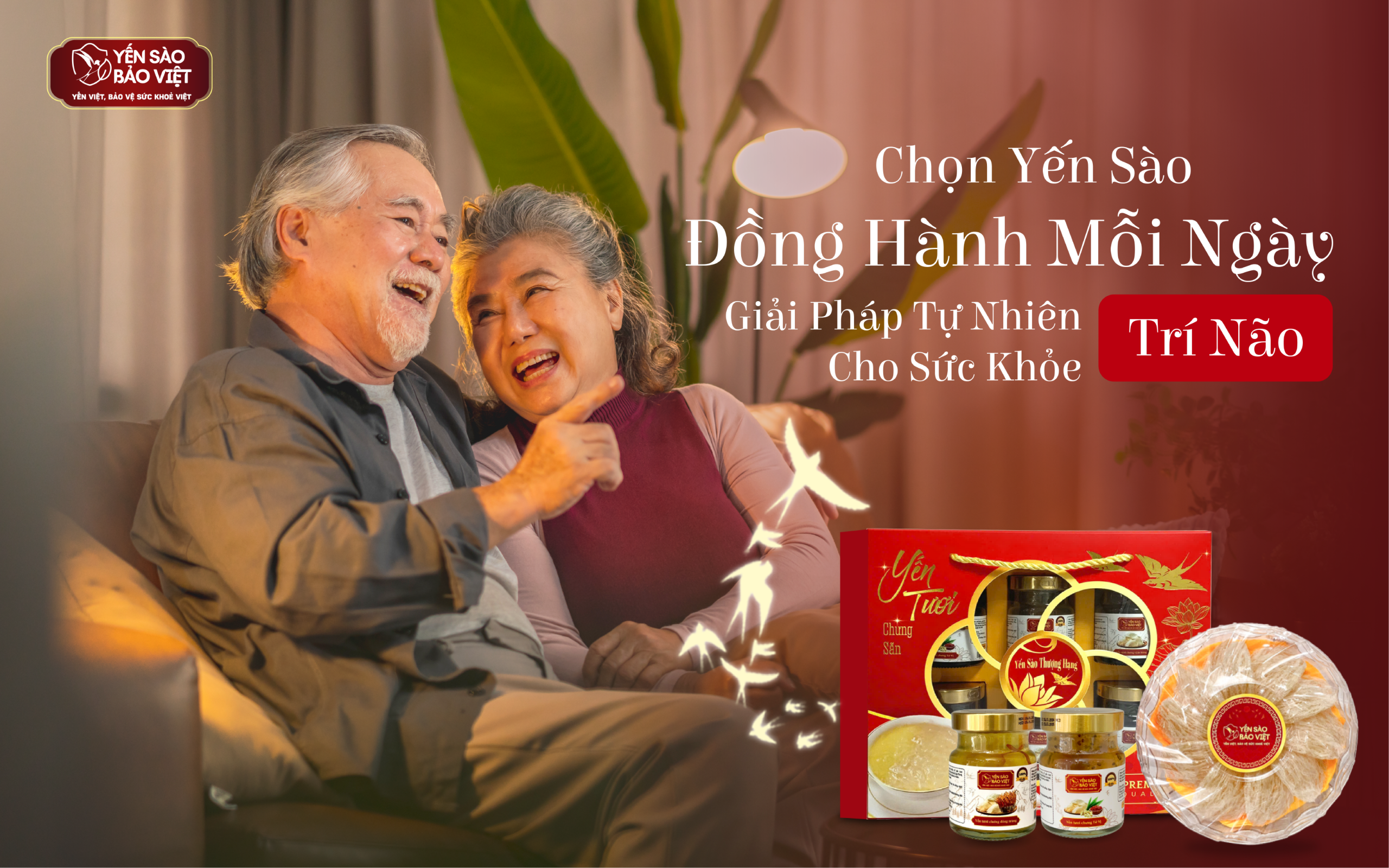 CHỌN YẾN SÀO ĐỒNG HÀNH MỖI NGÀY – GIẢI PHÁP TỰ NHIÊN CHO SỨC KHỎE TRÍ NÃO