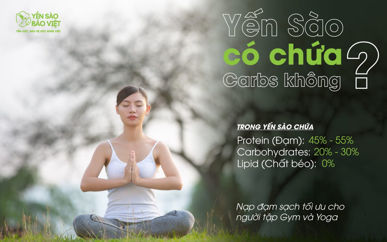 Yến Sào Có Chứa Carbs Không?