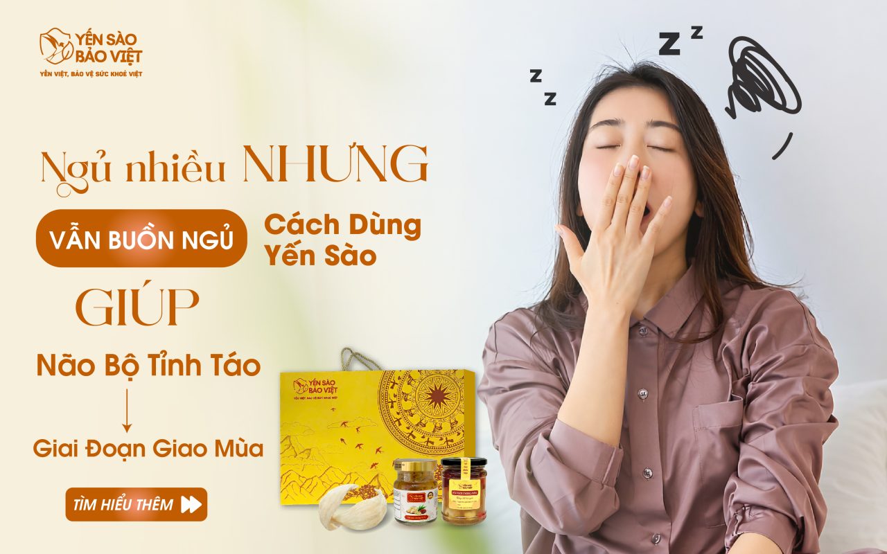 Ngủ Nhiều Nhưng Vẫn Buồn Ngủ? Cách Dùng Yến Sào Giúp Não Bộ Tỉnh Táo Giai Đoạn Giao Mùa