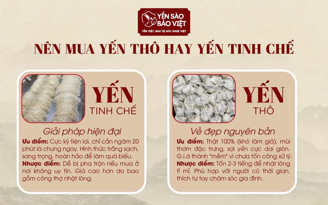 Nên Mua Yến Thô Hay Yến Tinh Chế? Lựa Chọn Nào “Kinh Tế” Nhất?