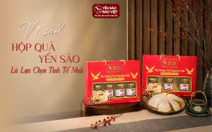 Gắn Kết Đối Tác: Vì Sao Hộp Quà Yến Sào Là Lựa Chọn Tinh Tế Nhất?
