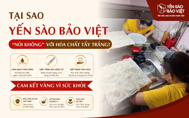 Tại Sao Yến Sào Bảo Việt “Nói Không” Với Hóa Chất Tẩy Trắng?