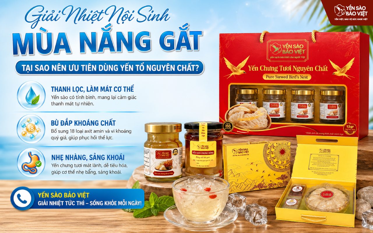 Giải Nhiệt Nội Sinh Mùa Nắng Gắt: Tại Sao Nên Ưu Tiên Dùng Yến Tổ Nguyên Chất?