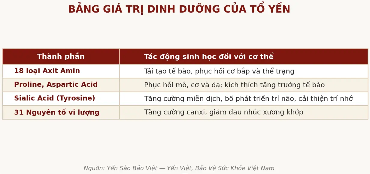 Chăm Sóc Sức Khỏe Mỗi Ngày: Vì Sao Dinh Dưỡng Đều Đặn Quan Trọng Hơn Bạn Tưởng?
